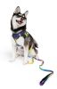 dAmerican River Ombre Leash