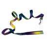 dAmerican River Ombre Leash