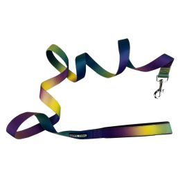 dAmerican River Ombre Leash (Color: Cosmic Splash, size: 5/8 inches wide x 4 feet long)